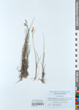 KPABG050503
