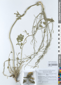 KPABG050508