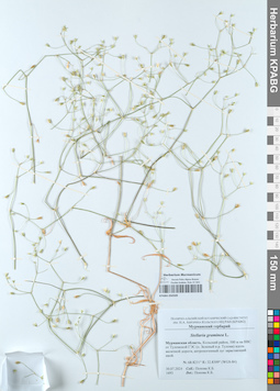 KPABG050509