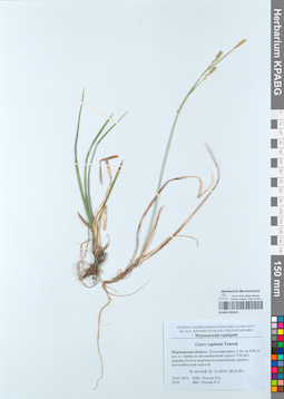 KPABG050526
