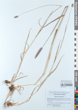 KPABG050528