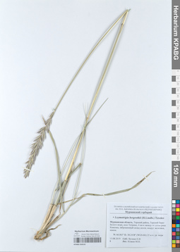 KPABG050532