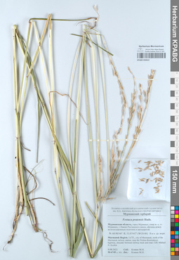 KPABG050622