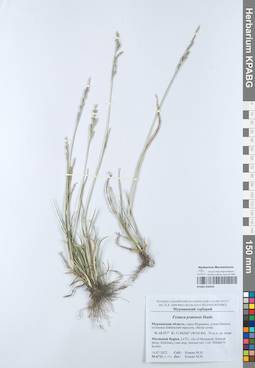 KPABG050628