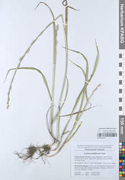 KPABG050637