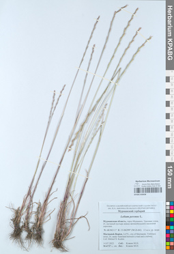 KPABG050638