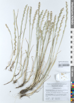 KPABG050640