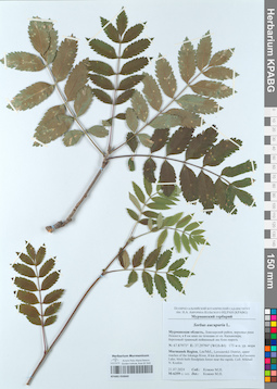 KPABG050660