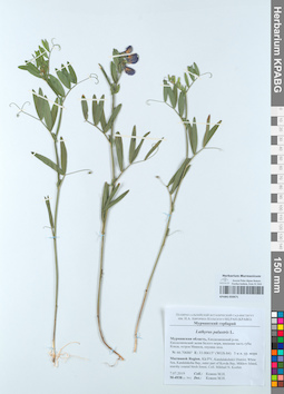KPABG050671