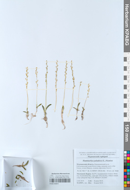 KPABG050673