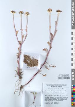 KPABG050674