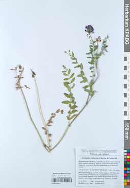 KPABG050675