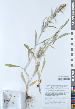KPABG050676