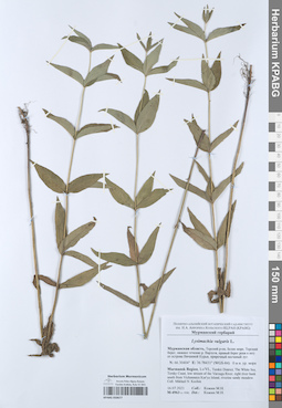 KPABG050677