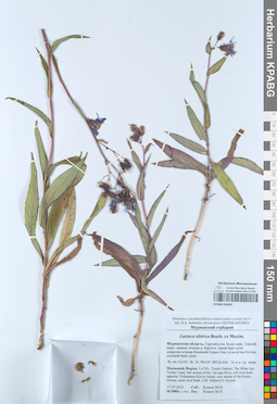 KPABG050681