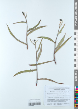 KPABG050685