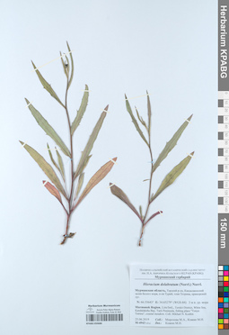 KPABG050686