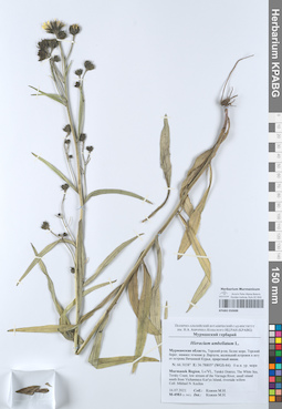 KPABG050688