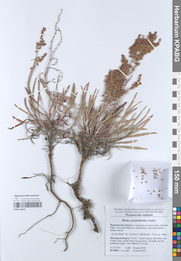 KPABG050692