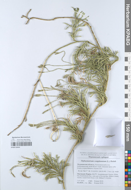 KPABG050694