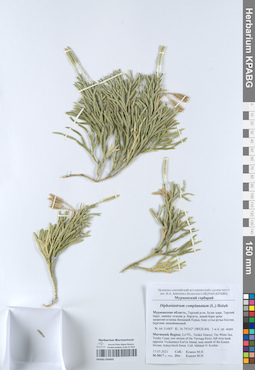 KPABG050695