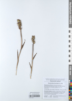 KPABG050697