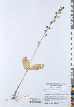 KPABG050698