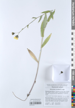 KPABG050701
