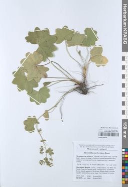 KPABG050705