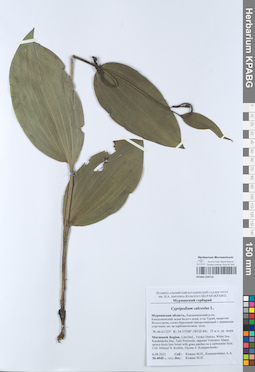 KPABG050716
