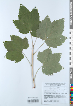 KPABG050723