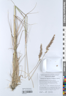 KPABG050728
