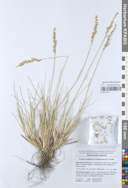 KPABG050729