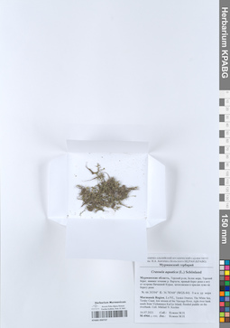 KPABG050737