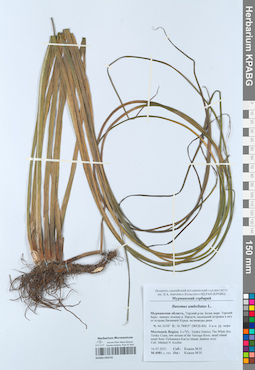 KPABG050742
