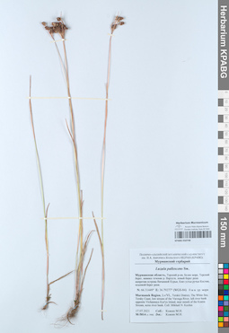 KPABG050748