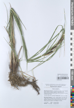 KPABG050751
