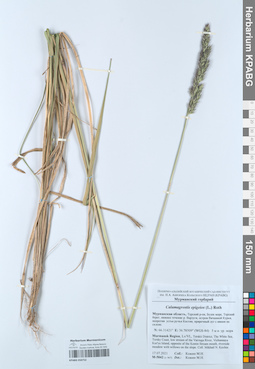 KPABG050752
