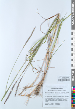 KPABG050753