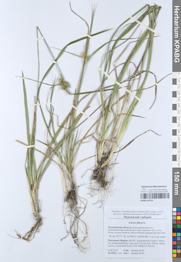 KPABG050756