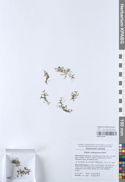 KPABG050760