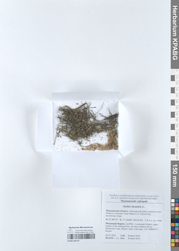 KPABG050779
