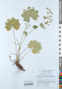 KPABG050873