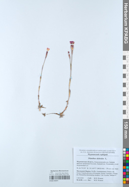 KPABG050874