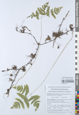 KPABG052282