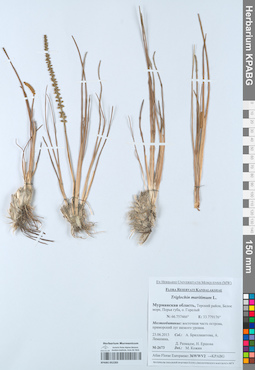 KPABG052283