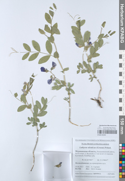 KPABG052293