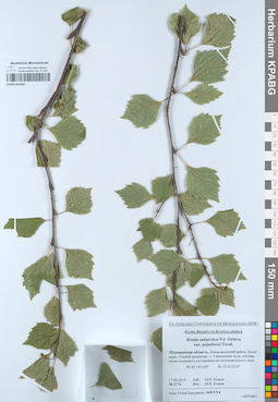 KPABG052301