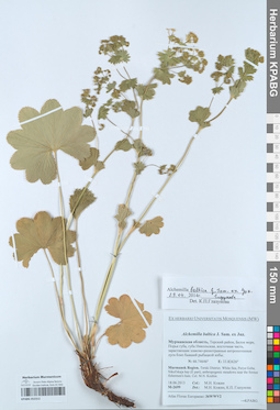 KPABG052312
