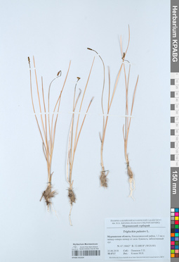 KPABG052324